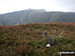 The summit of  Waun Goch
