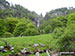 Heading towards Pistyll Rhaeadr waterfall