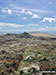The approach to the summit of Post Gwyn, you can see the small forest in the distance, shown as pale green on walk pdf po155