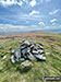 The summit of Post Gwyn - the trees in the distance is the next leg of  walk pdf po155