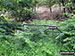 The entrance to the woods below Swinside (Portinscale)