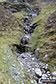 Gully on the lower slopes of Ben Hope