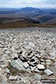 Strath More from a cairn on Ben Hope