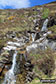 Waterfalls on the lower slopes of Ben Hope