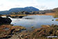 Innominate Tarn with Great Gable beyond