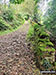 Footpath in The Goyt Valley
