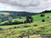 The Goyt Valley