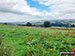 The Goyt Valley