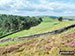 Goyt Forest
