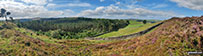 Goyt Forest