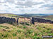 Unusual gate on Shining Tor with Shutlingsloe on the horizon