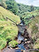 Deep Clough in The Goyt Valley