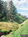 Deep Clough in The Goyt Valley