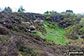 On Cobden Edge