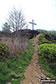 The path off Cobden Edge