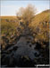 Brow Gill Beck from God's Bridge