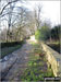 Track through Birchencliff Farm