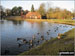 Duck Pond in Lyme Park Country Park