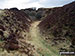 On the trail through Tegg's Nose Country Park