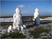 Pair of huge Snowmen on Sponds Hill - love the little snow dog (bottom left)