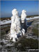 Two huge Snowmen and their Snowdog on Sponds Hill