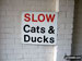 Sign in Allerford