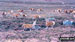 Deer in Glen Muick