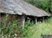 Haddon Farm