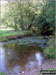 The River Haddeo in Hartford Bottom