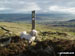 On Tal y Fan heading towards Cae Coch with the Conwy Valley in the background
(The Llahsa Apso dog is called Tess)