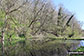 The River Bradford in Bradford Dale, Youlgreave