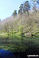 The River Bradford in Bradford Dale, Youlgreave