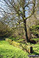 At the Middleton-by-Youlgreave end of Bradford Dale