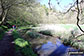 Path beside the River Bradford at the Middleton-by-Youlgreave end of Bradford Dale