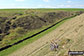 Long Dale
