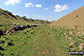 Long Dale