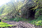 Old Limekiln in Gratton Dale