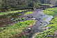 The River Bradford in Bradford Dale near Youlgreave