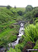 Goyt's Clough