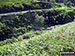 Goyt's Clough