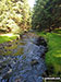 Lady Clough from Lady Clough Bridge