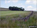 Farmland near Rowarth