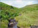 Hollingwood Clough