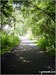 The Sett Valley Trail near Hayfield