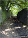 On The Pennine Bridleway heading for Lantern Pike