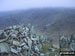 Twopenny Crag from Kidsty Pike