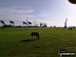 East Somerton with the windfarm in the background
