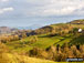 Beacon Ring (Long Mountain) from Fferm Cefn Gaer near Llanfyllin