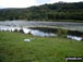 View from Dare Valley Country Park near Aberdare