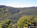 Views from Cwmcarn Forest Drive
